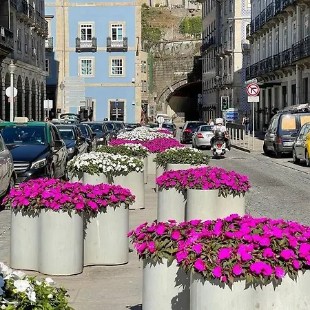 Design Award-winning In Ribeira